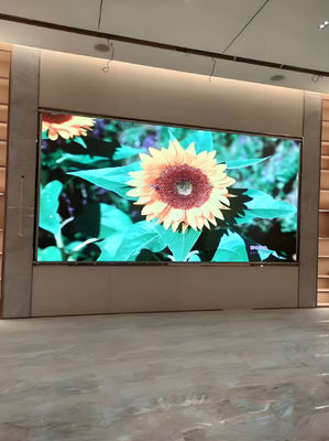 1200 CD Brightness Soft Light LED Display Screen for Indoor Bars Wall Mounted